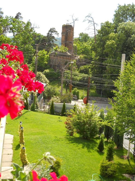 Casa Domneasca Hotel Curtea de Argeş Buitenkant foto