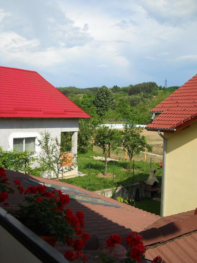 Casa Domneasca Hotel Curtea de Argeş Kamer foto